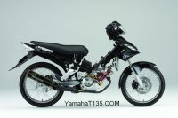 Yamaha-T135-Cutout2.jpg
